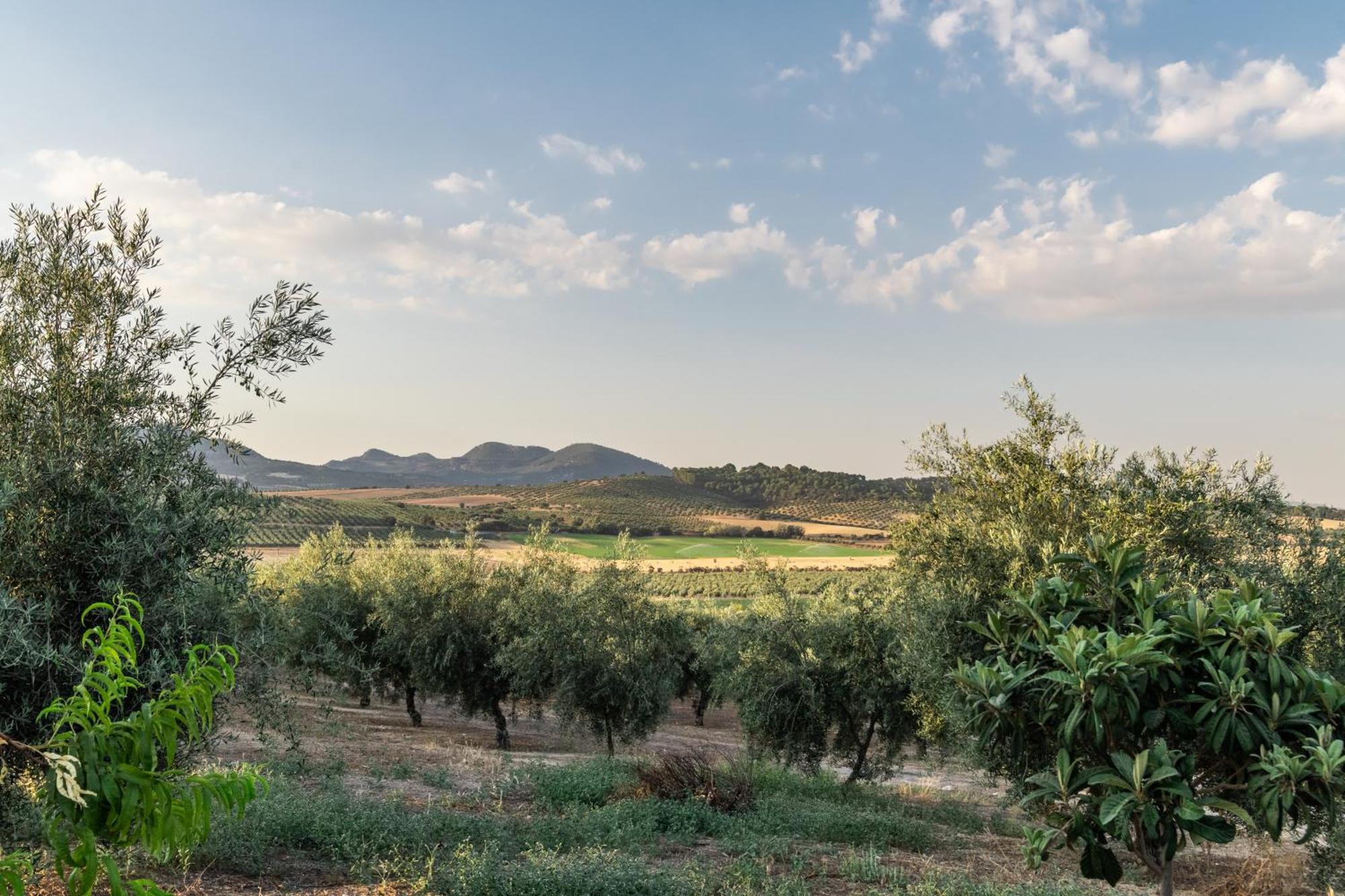 La Loma Séjour à la campagne Grenade